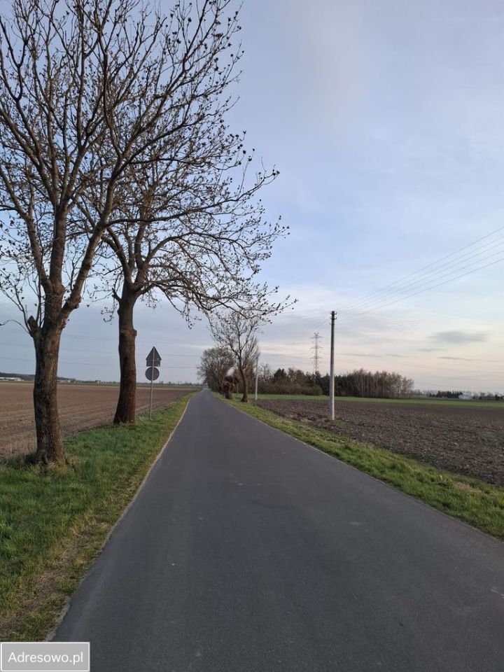 Działka budowlana Markowice. Zdjęcie 3