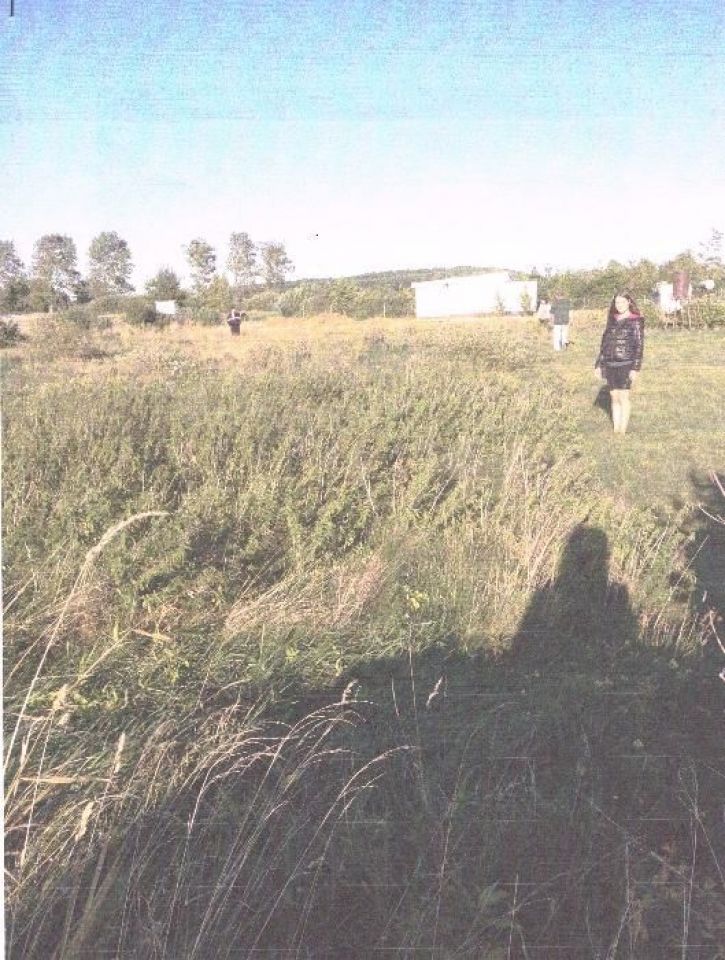 Działka rekreacyjna Karwieńskie Błoto Drugie. Zdjęcie 2