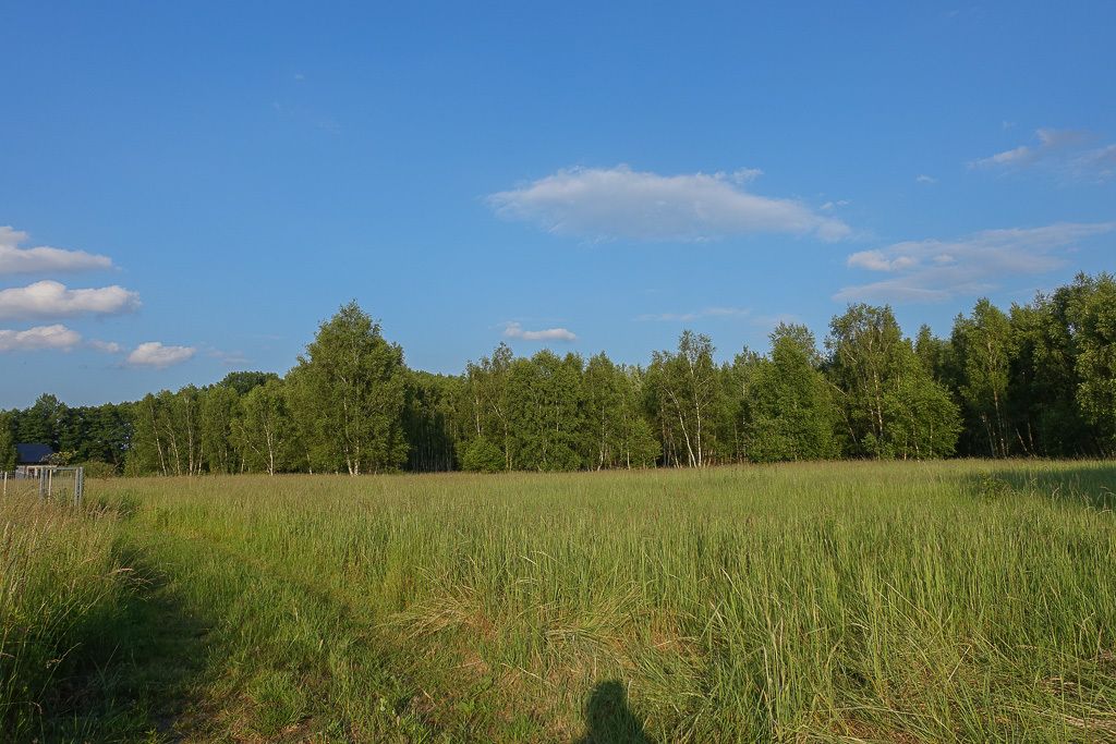 Działka budowlana Grzepnica. Zdjęcie 2