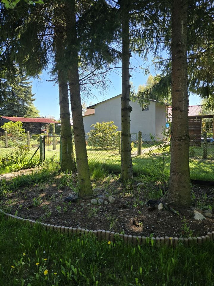 Działka rod Szczecin Pogodno, ul. Janka Muzykanta. Zdjęcie 7