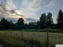 Działka budowlana Chojnów. Zdjęcie 2