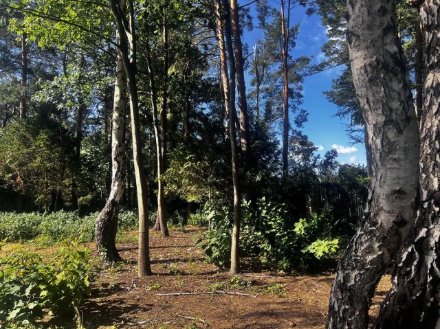 Działka budowlana Magdalenka, ul. Okrężna. Zdjęcie 1