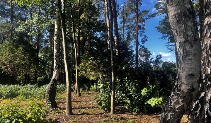 Działka budowlana Magdalenka, ul. Okrężna