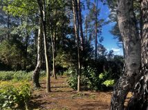 Działka budowlana Magdalenka, ul. Okrężna