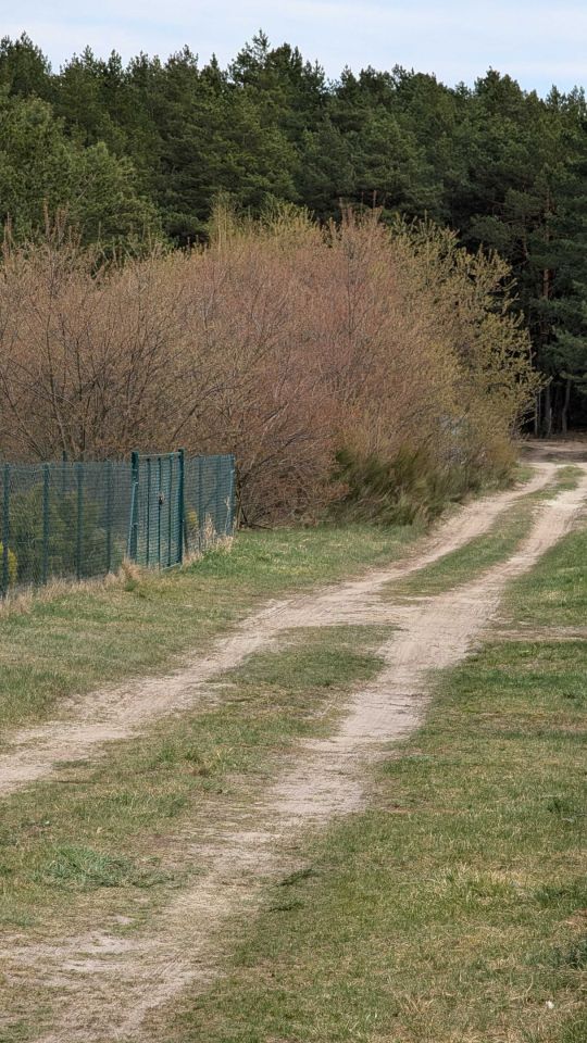 Działka rolna Nowe Miasto. Zdjęcie 7