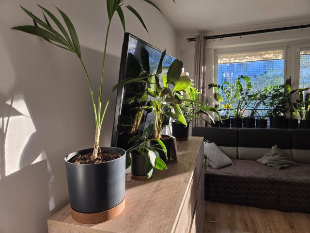 Mieszkanie 4-pokojowe Grodzisk Mazowiecki, ul. T. Bairda. Zdjęcie 1