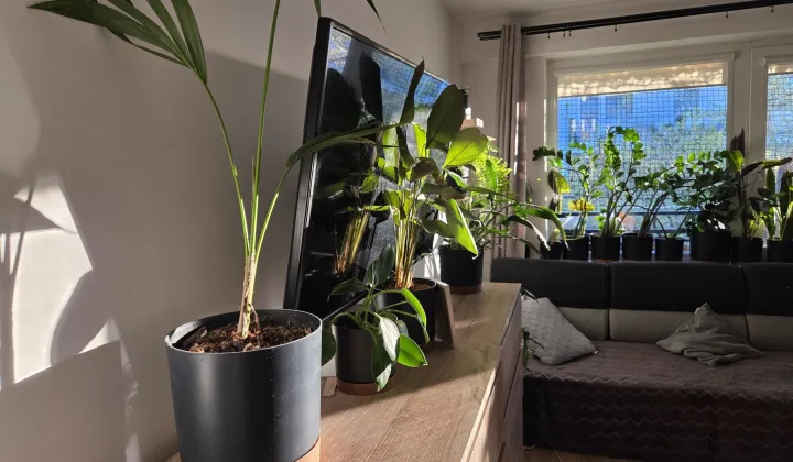 Mieszkanie 4-pokojowe Grodzisk Mazowiecki, ul. T. Bairda