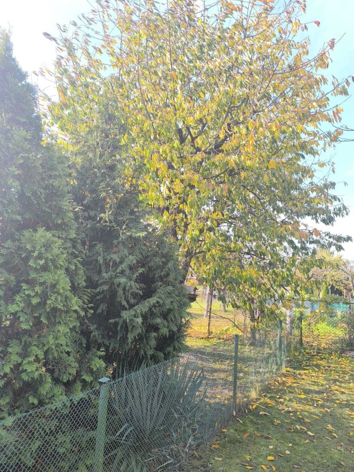 Działka rod Jelcz-Laskowice. Zdjęcie 3