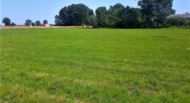 Działka budowlana Zalesie-Kolonia. Zdjęcie 1