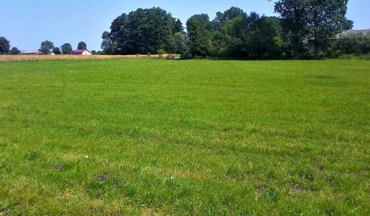 Działka budowlana Zalesie-Kolonia