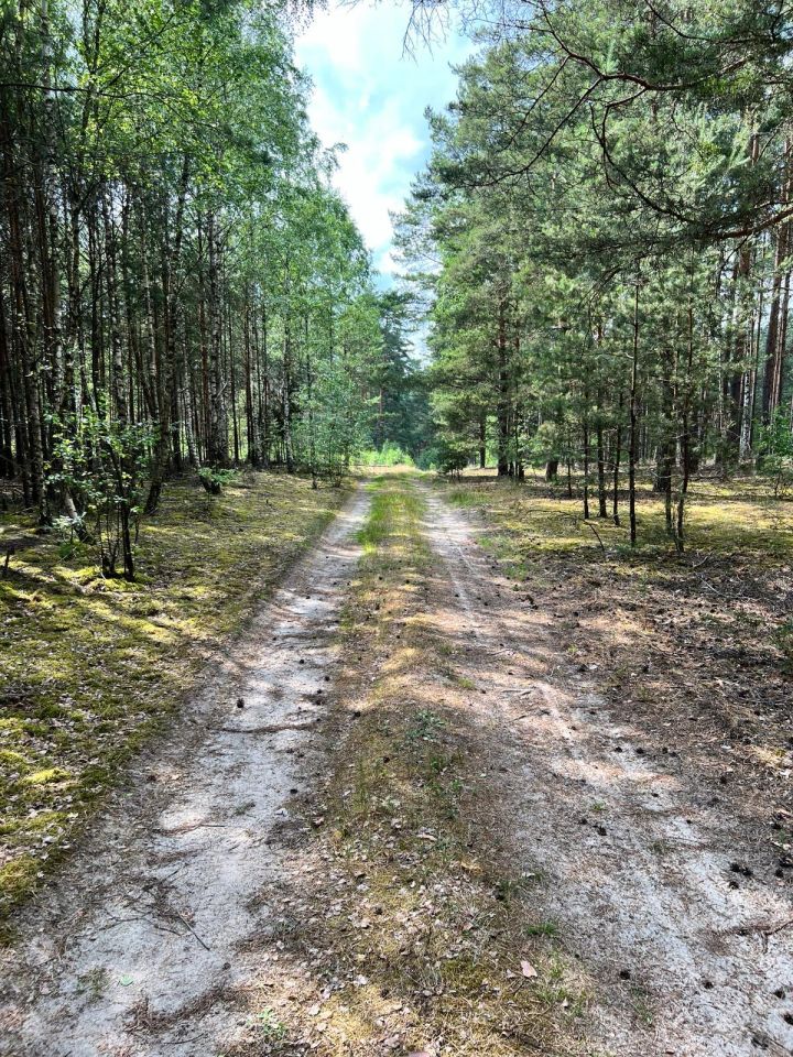 Działka rolna Trzebule. Zdjęcie 2