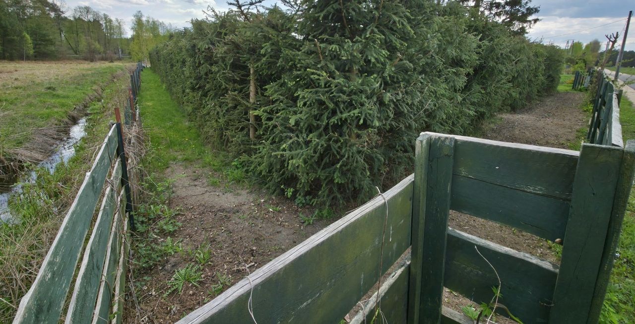 Działka rolno-budowlana Kąty Czernickie. Zdjęcie 6