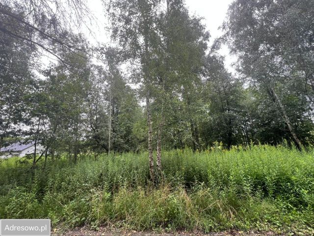 Działka budowlana Nowa Wieś. Zdjęcie 1