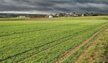 Działka budowlana Kalisz Szczypiorno