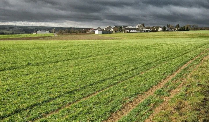 Działka budowlana Kalisz Szczypiorno