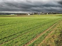 Działka budowlana Kalisz Szczypiorno