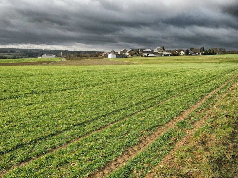 Działka budowlana Kalisz Szczypiorno