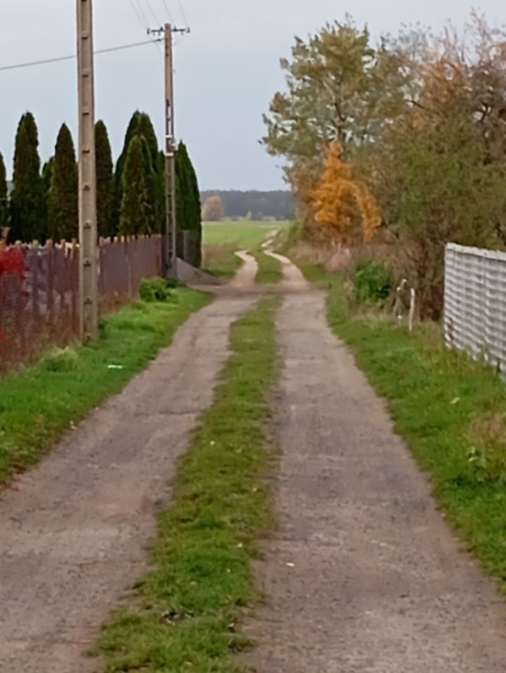 Działka rolno-budowlana Chajęty. Zdjęcie 5