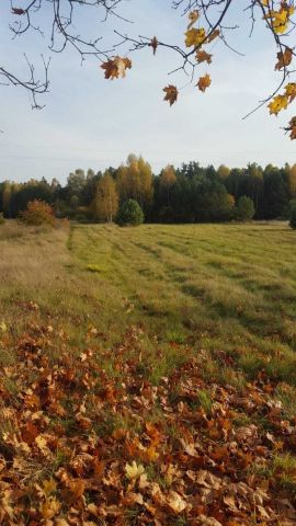 Działka Majdan Kasztelański. Zdjęcie 1