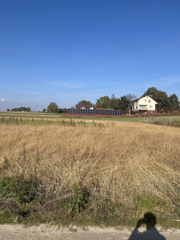 Działka budowlana Jędrzychów, ul. Radzikowicka. Zdjęcie 1