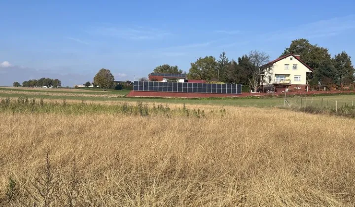 Działka budowlana Jędrzychów, ul. Radzikowicka