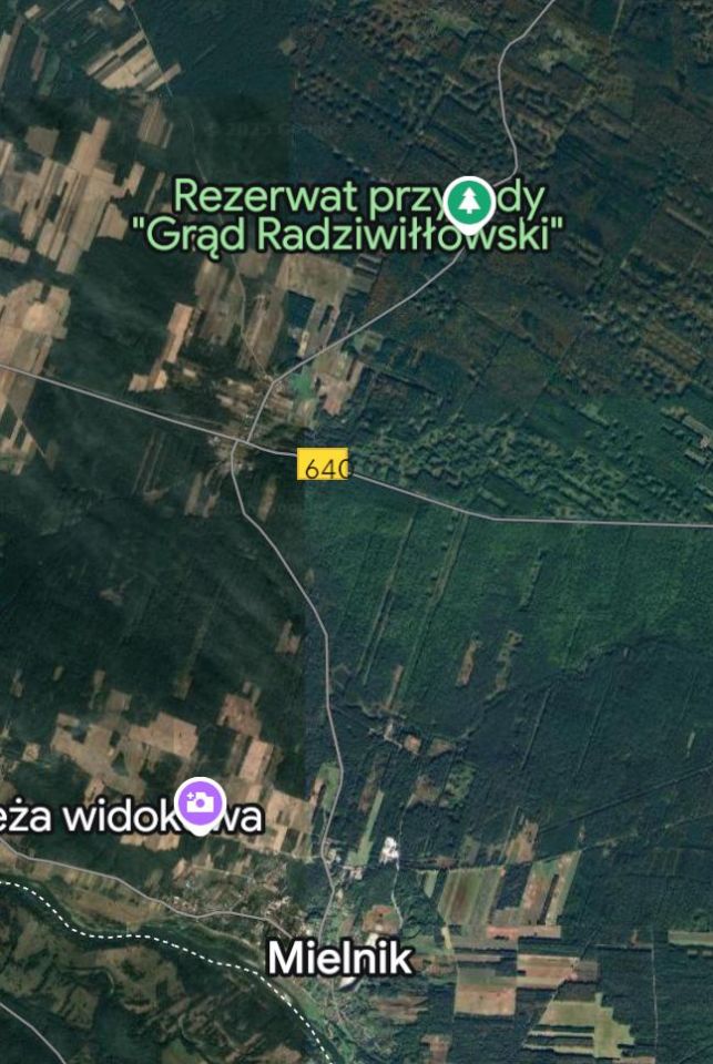 Działka rolno-budowlana Radziwiłłówka. Zdjęcie 4