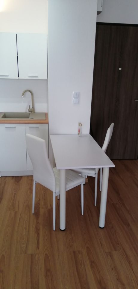 Mieszkanie 1-pokojowe Poznań Naramowice, ul. Karpia. Zdjęcie 3