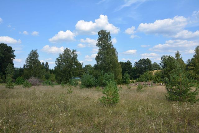 Działka budowlana Goręczyno, ul. Maślakowa. Zdjęcie 1