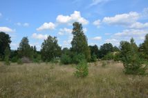 Działka budowlana Goręczyno, ul. Maślakowa