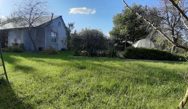 Działka rod Lębork, ul. Chłopska