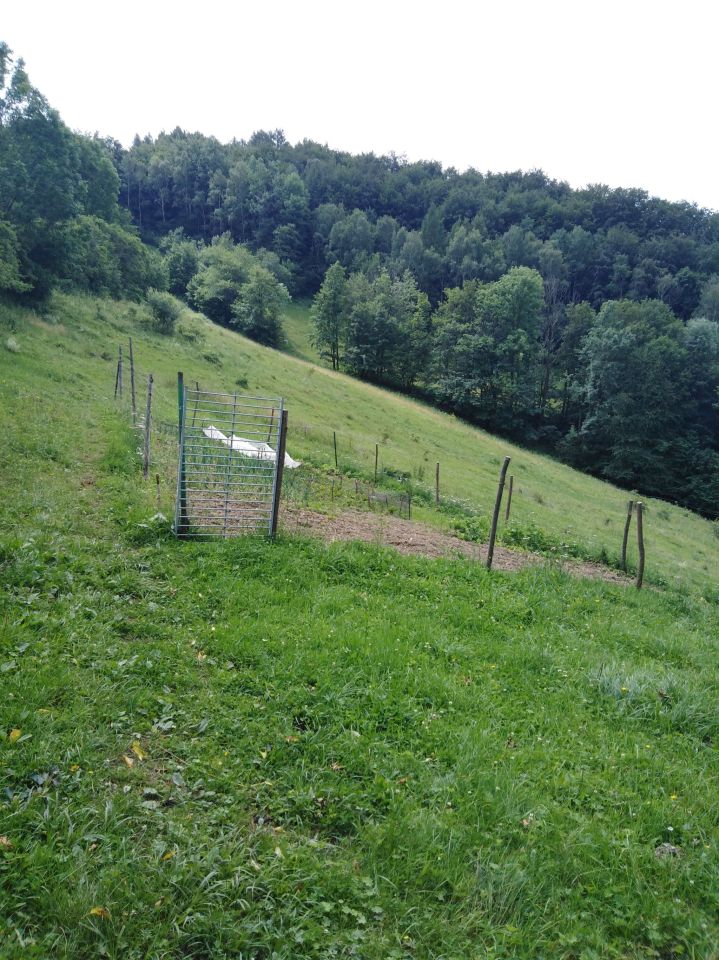 Działka rolna Kokuszka Gronik. Zdjęcie 2