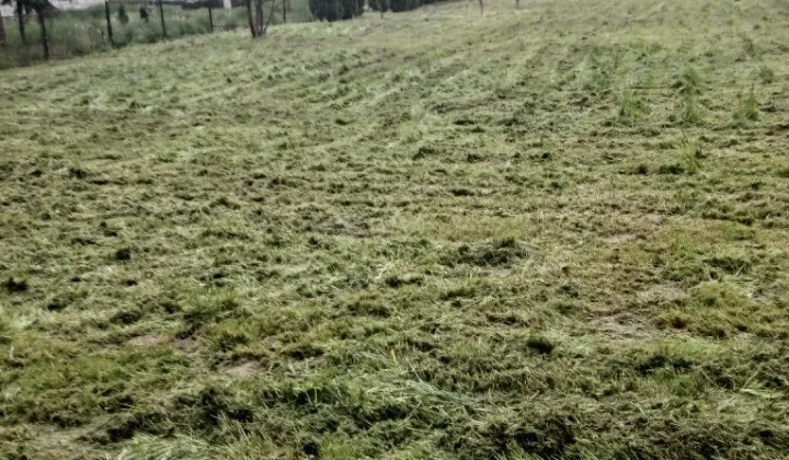 Działka budowlana Biskupice