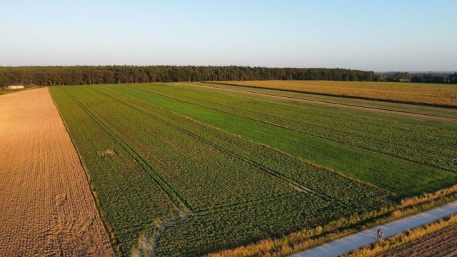 Działka budowlana Golędzinów. Zdjęcie 1