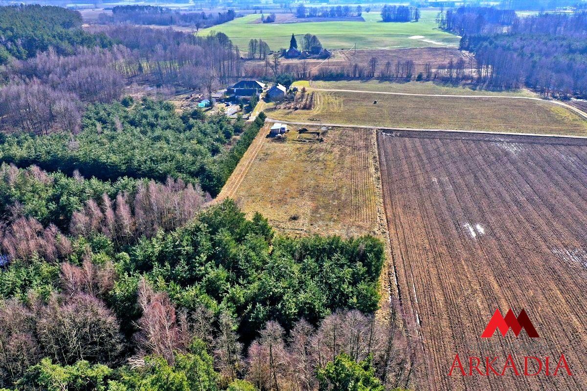 Działka Piątki. Zdjęcie 8