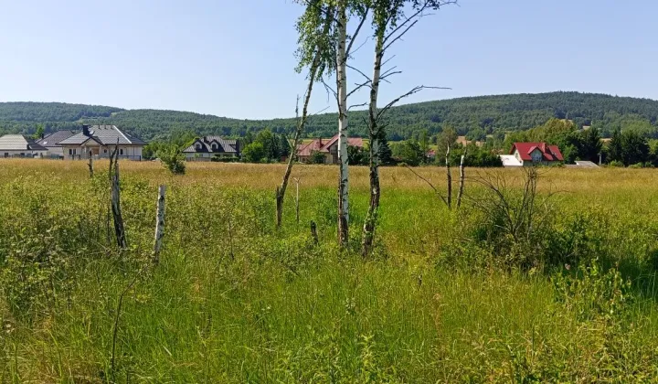 Działka budowlana Ciekoty