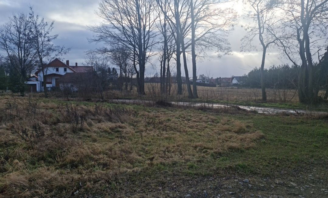 Działka budowlana Zimna Woda. Zdjęcie 13