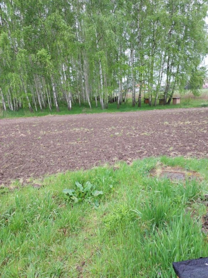 Działka budowlana Tymianka. Zdjęcie 2