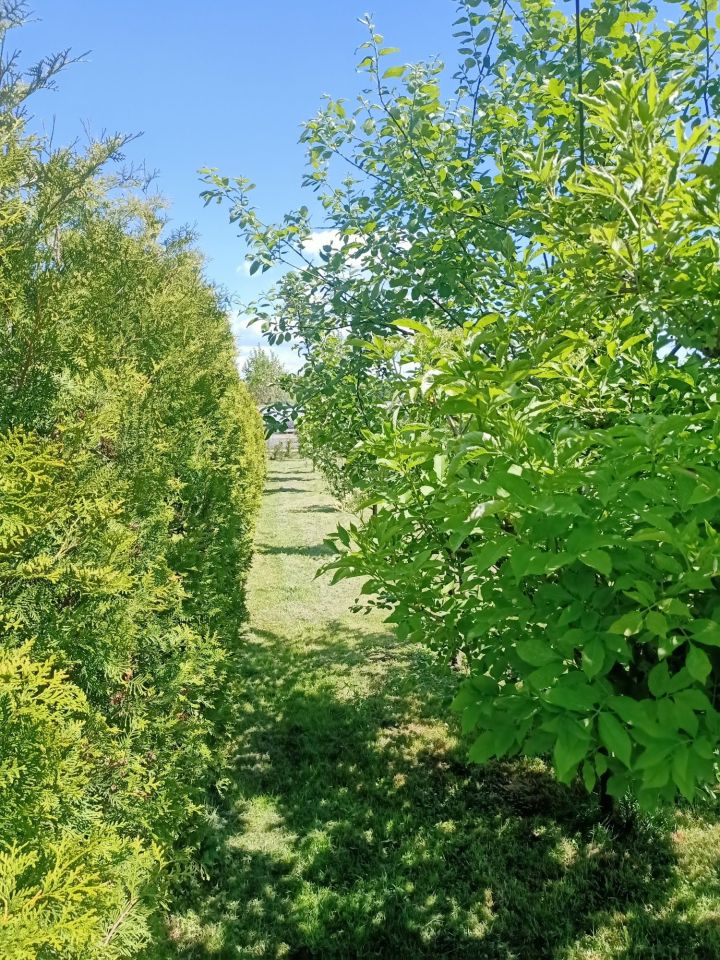 Działka rolno-budowlana Radom Długojów, ul. Kmicica. Zdjęcie 6