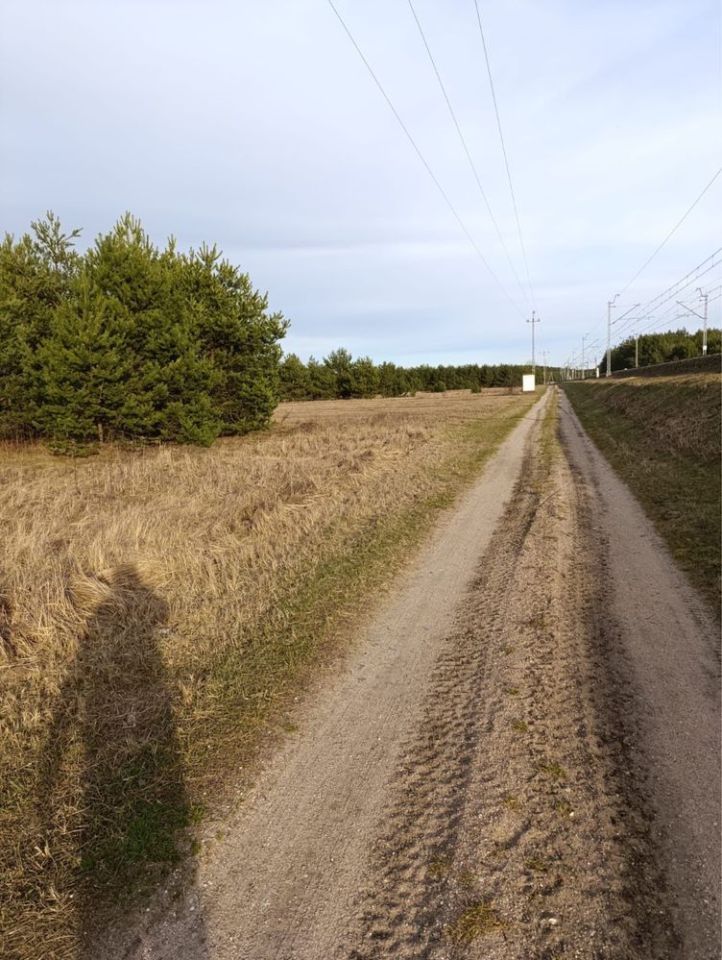 Działka inwestycyjna Janówek Pierwszy. Zdjęcie 8