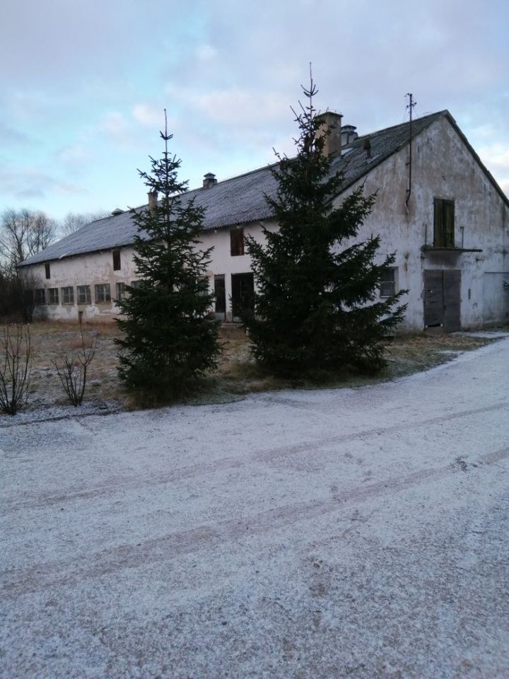 Działka rolna Lubin Bielica. Zdjęcie 5