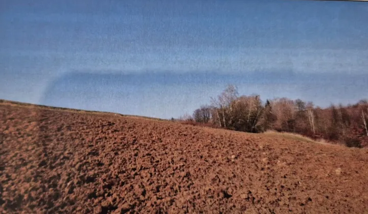 Działka rolna Siedliska