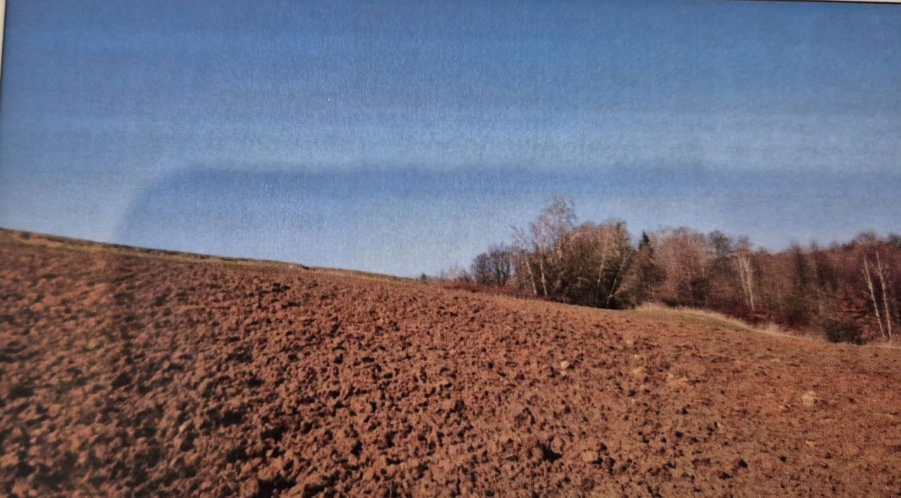 Działka rolna Siedliska. Zdjęcie 1