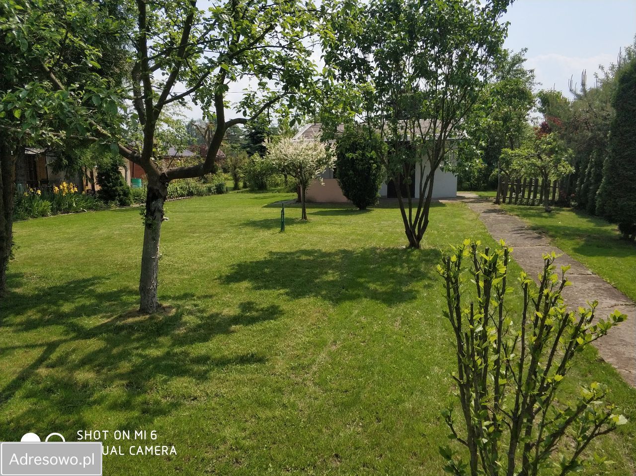 Działka rod Kraków Zwierzyniec. Zdjęcie 4