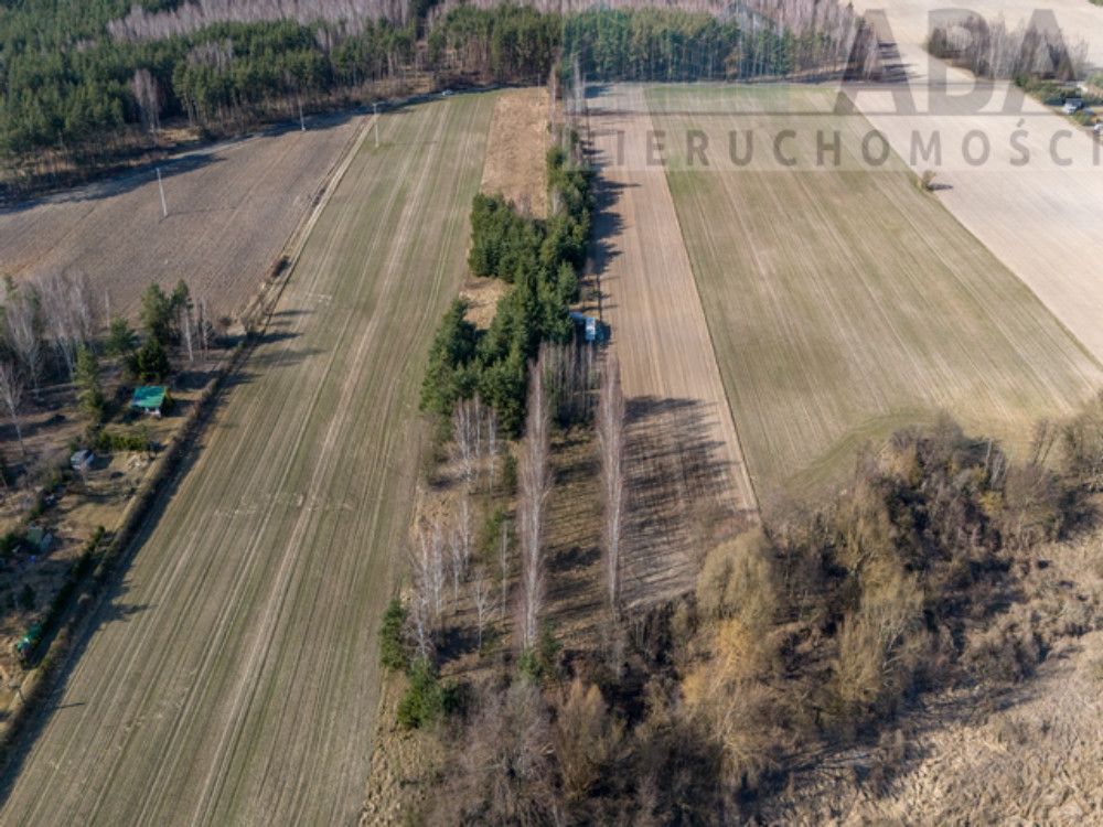 Działka rekreacyjna Świętne. Zdjęcie 8