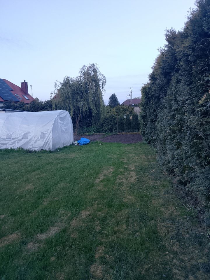 Działka budowlana Parzęczew, ul. Zachodnia 17. Zdjęcie 7