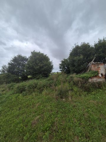 dom wolnostojący, 3 pokoje Żołędno. Zdjęcie 11