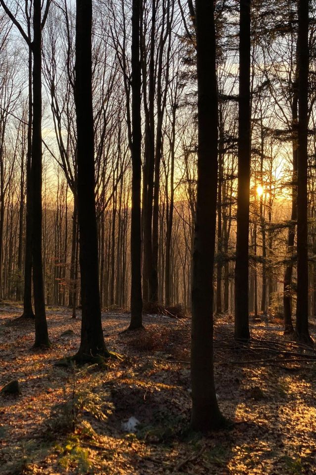 dom wolnostojący, 5 pokoi Myślenice Chełm, Chełm. Zdjęcie 9