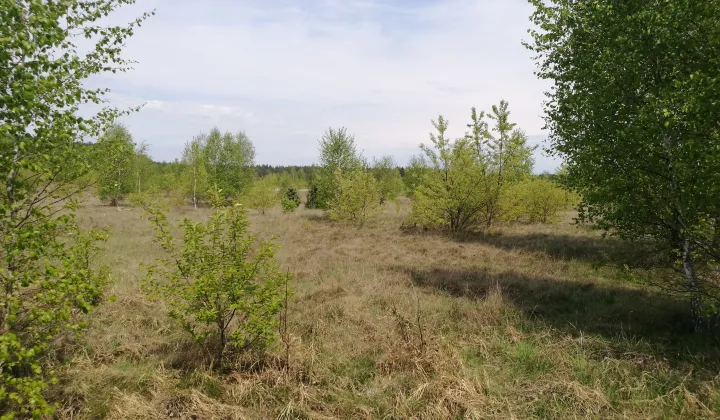 Działka budowlana Skórka