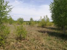 Działka budowlana Skórka