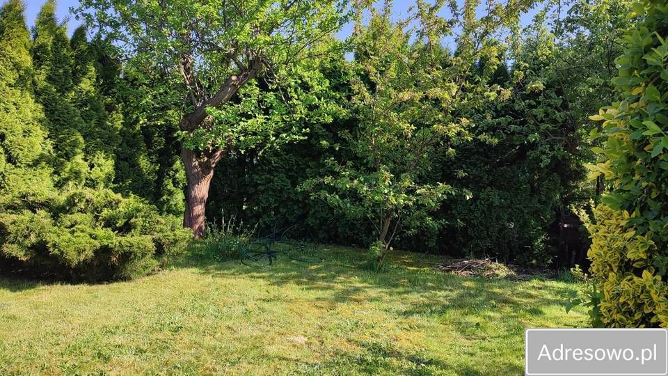 Działka rod Rumin. Zdjęcie 7